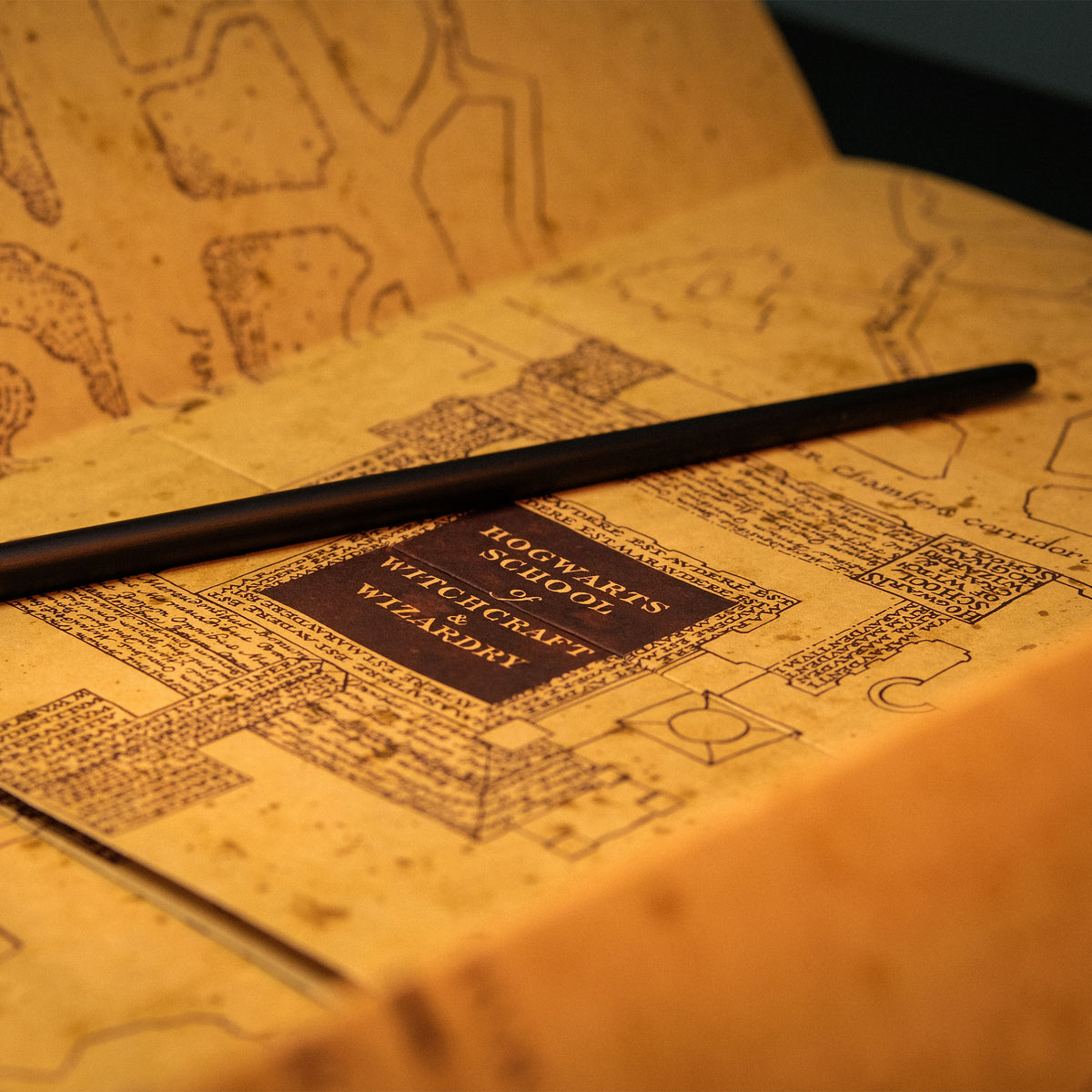 Image produit La Carte des Maraudeurs incluant un présentoir