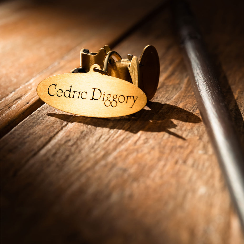 Image produit Baguette de Cedric Diggory - Édition Personnage