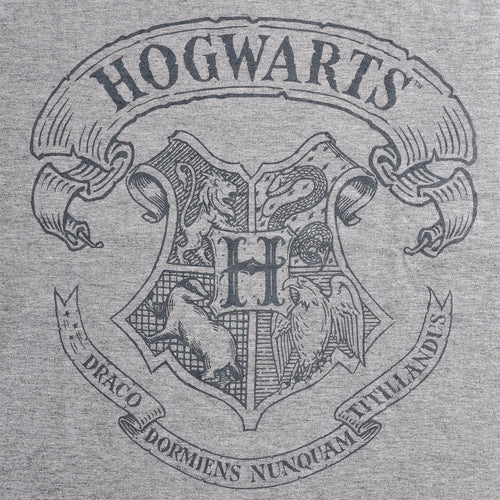 Immagine del prodotto Harry Potter - T-shirt con logo grigia