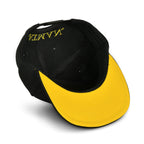 Product image Batman - Classic Logo Snapback Cap