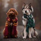 Image produit Harry Potter - Écharpe Gryffondor tricotée jaune-rouge