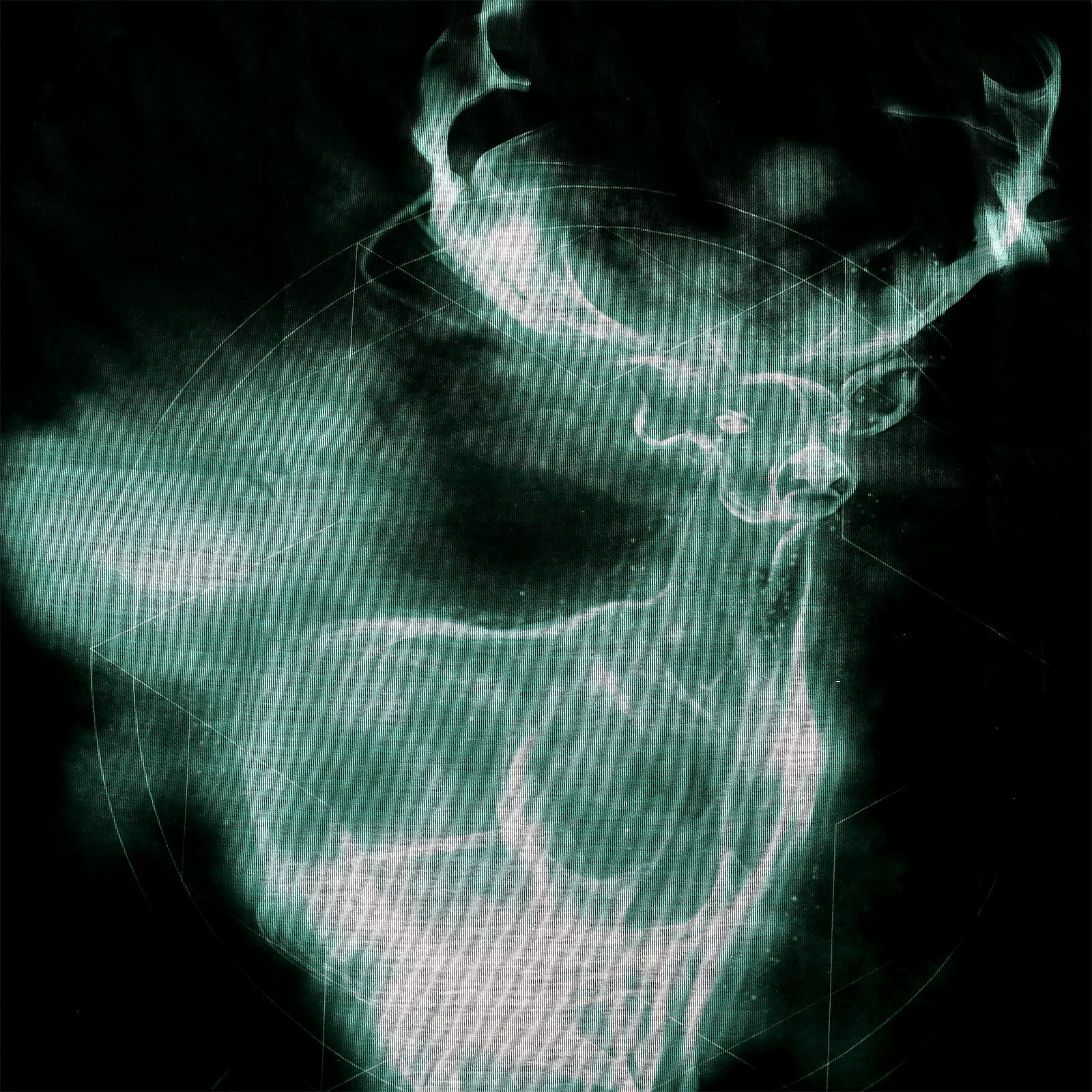 Product image Harry Potter - Patronus T-Shirt black