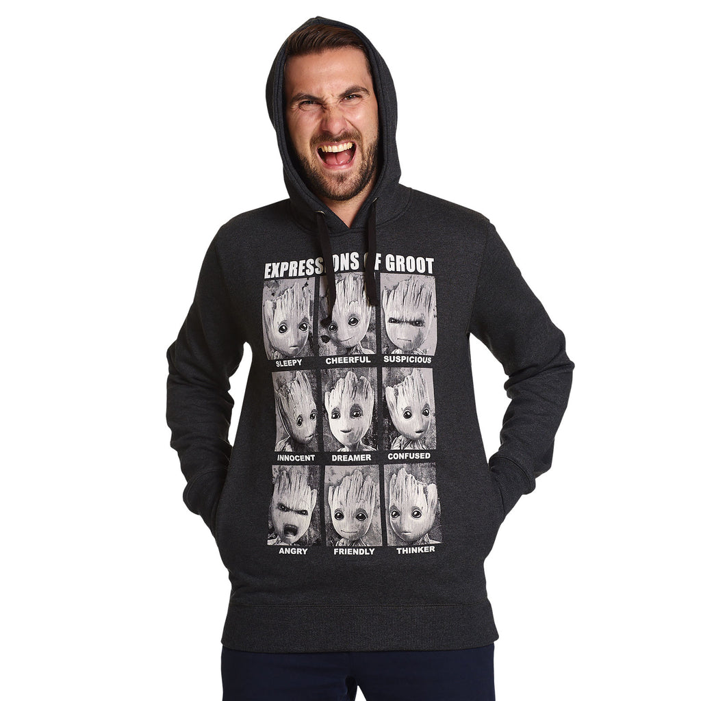 Image produit Gardiens de la Galaxie - Sweat à capuche Groot Expressions Gris