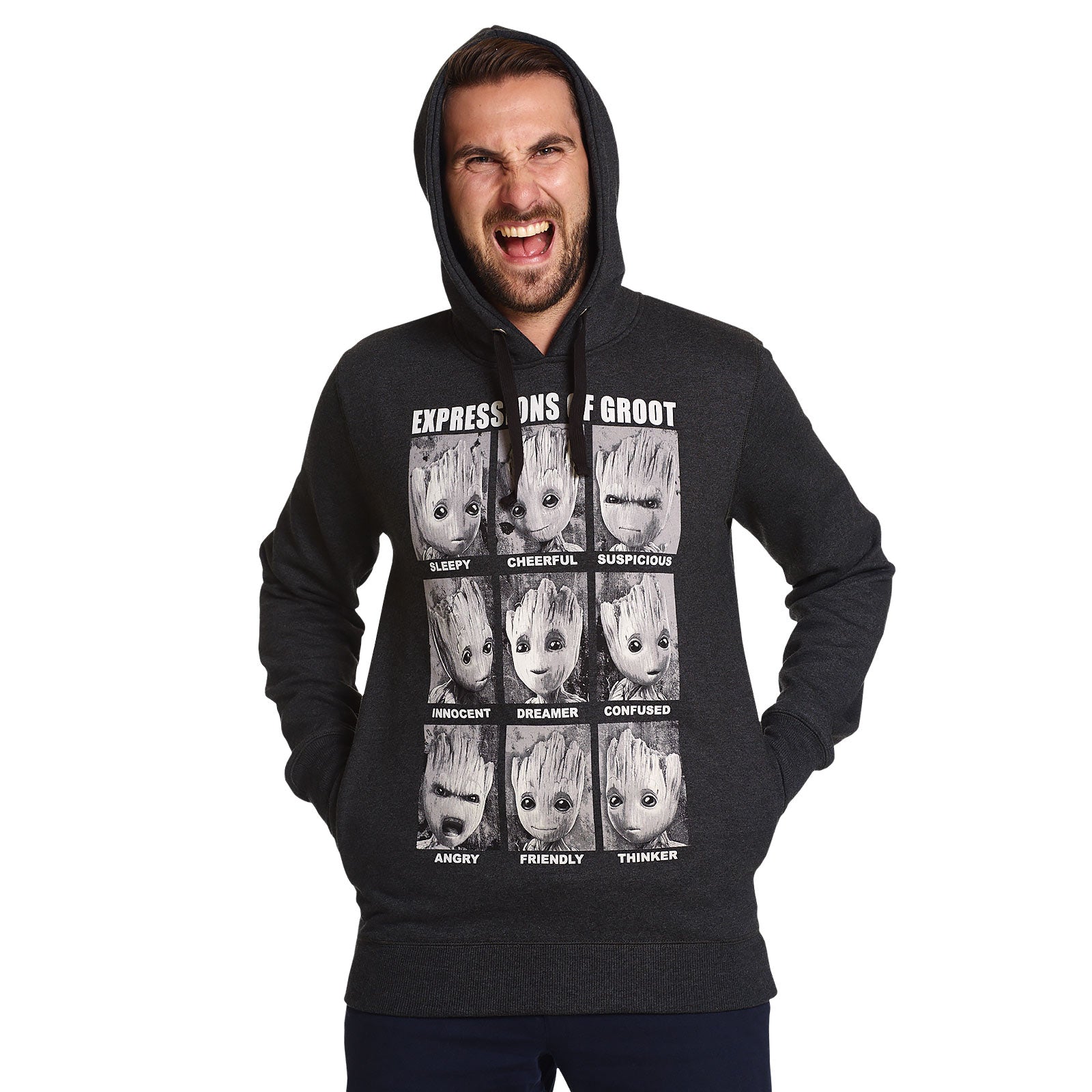Image produit Gardiens de la Galaxie - Sweat à capuche Groot Expressions Gris