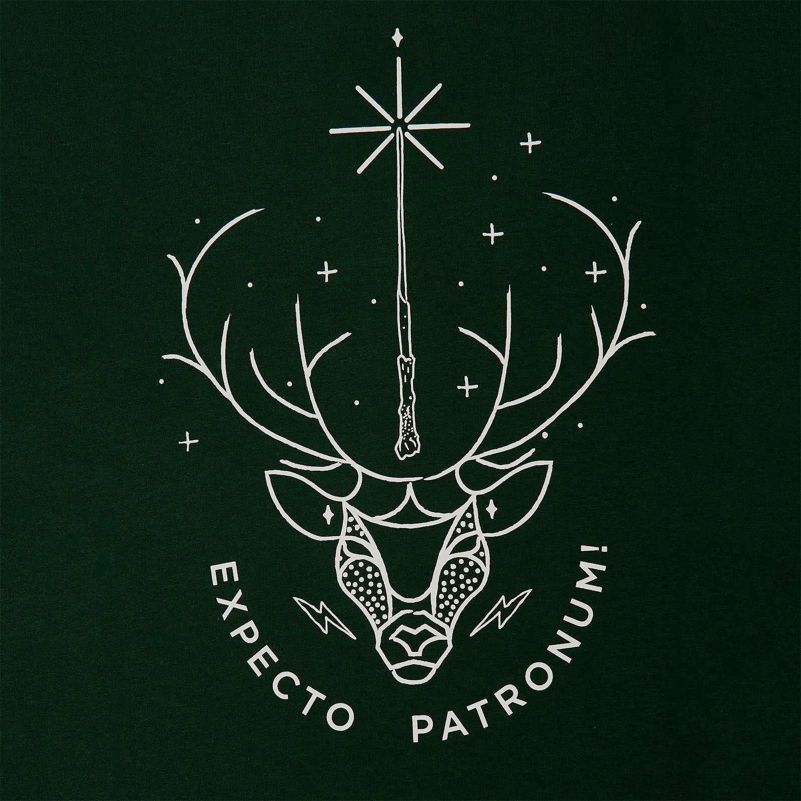 Image produit Harry Potter - T-shirt Expecto Patronum vert