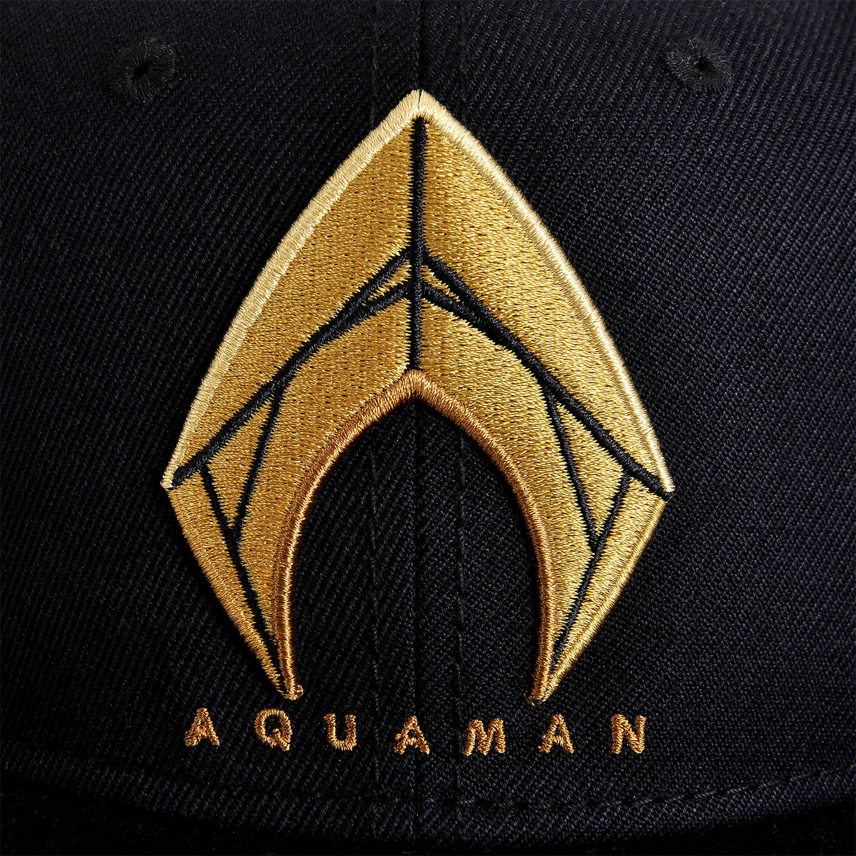 Immagine del prodotto Cappello Snapback Logo Aquaman - Justice League