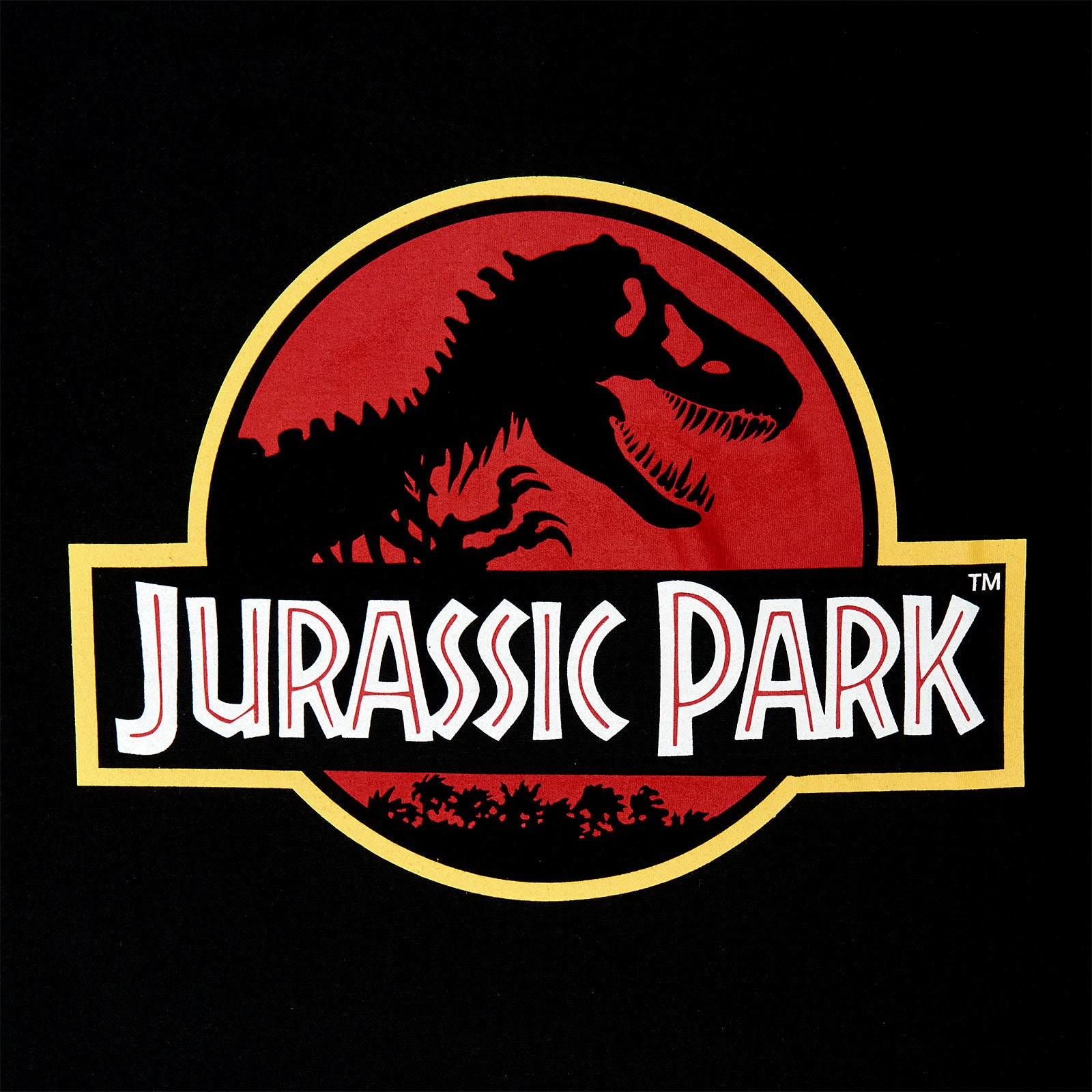 Image produit Jurassic Park - T-shirt logo noir