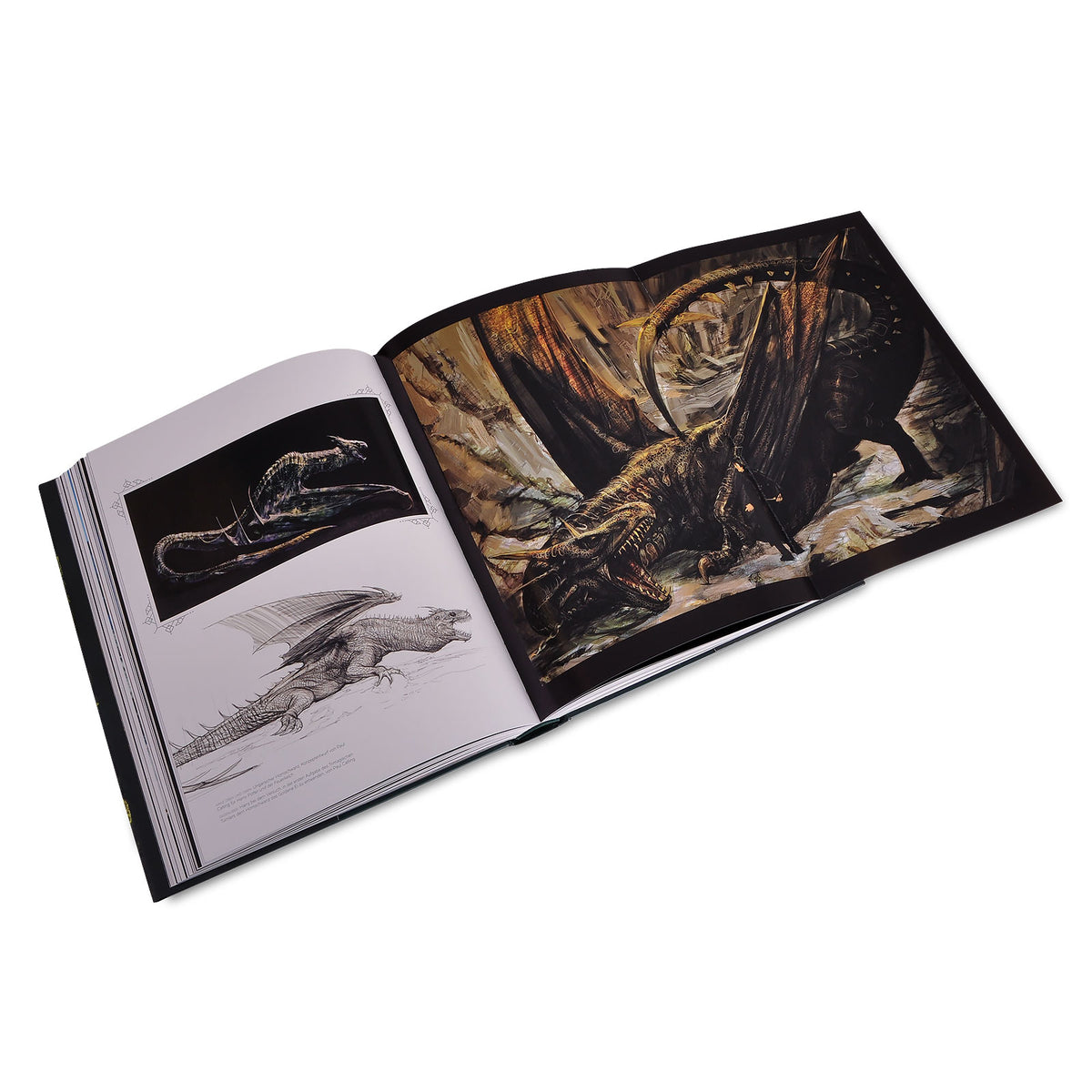 Immagine del prodotto L'arte di Harry Potter - Il grande libro di Harry Potter
