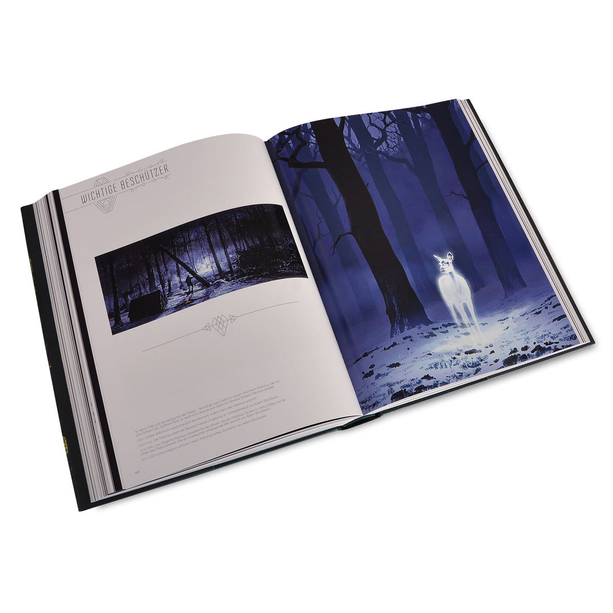 Immagine del prodotto L'arte di Harry Potter - Il grande libro di Harry Potter