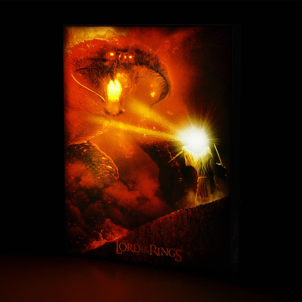 Immagine del prodotto Signore degli Anelli - Gandalf vs. Balrog Quadro da parete con luce