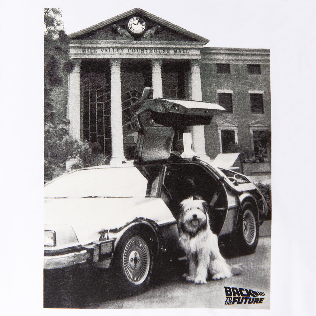 Image produit Retour vers le futur - T-shirt blanc Einstein avec DeLorean