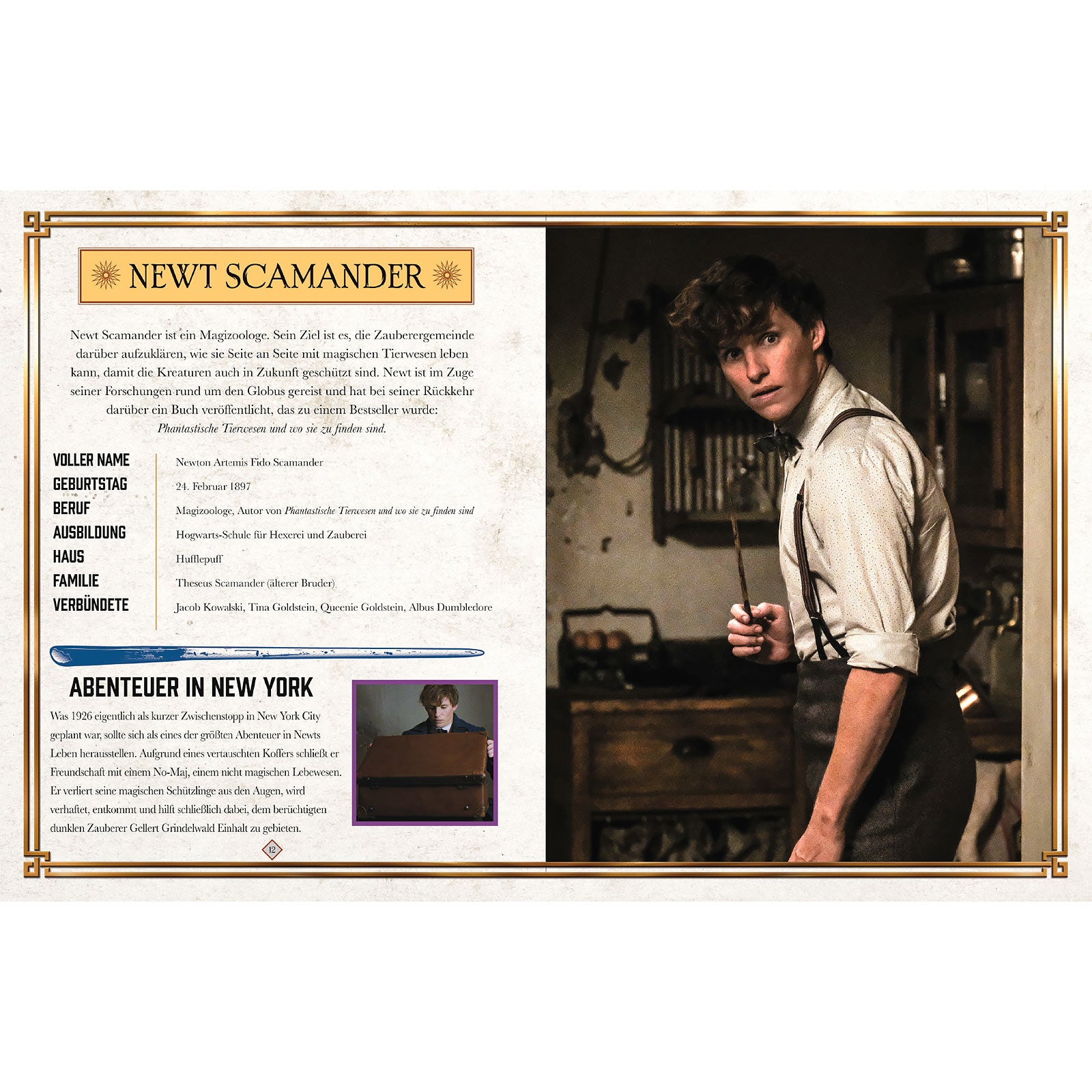 Image produit Les Animaux fantastiques - Les crimes de Grindelwald - Le livre du film