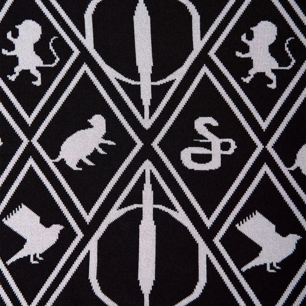 Produktbild Harry Potter - Magic Symbols Poncho