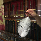 Immagine del prodotto Harry Potter - Wingardium Leviosa Bacchetta & Set di Piuma