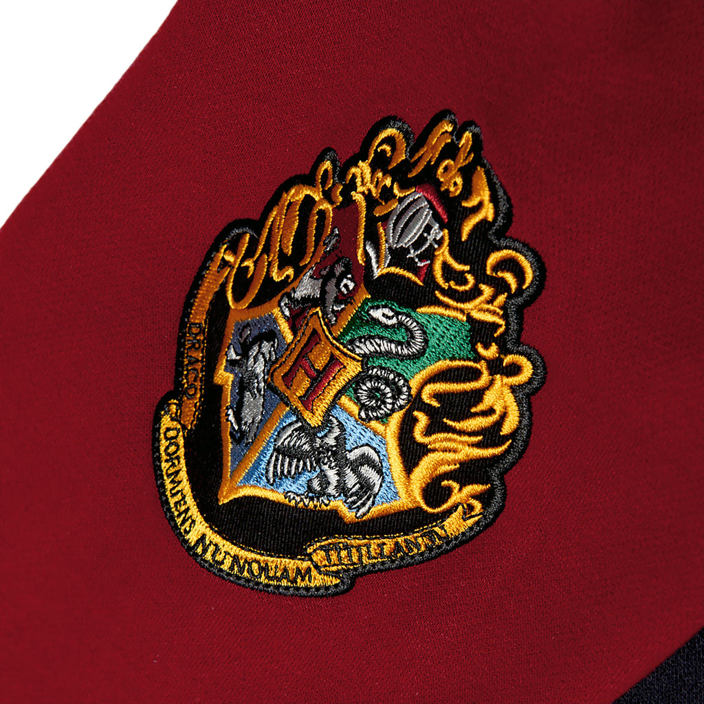Image produit Harry Potter - Fier Gryffondor Sweat à capuche