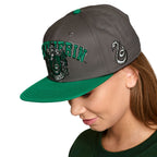 Image produit Harry Potter - Casquette Snapback du Collège Slytherin