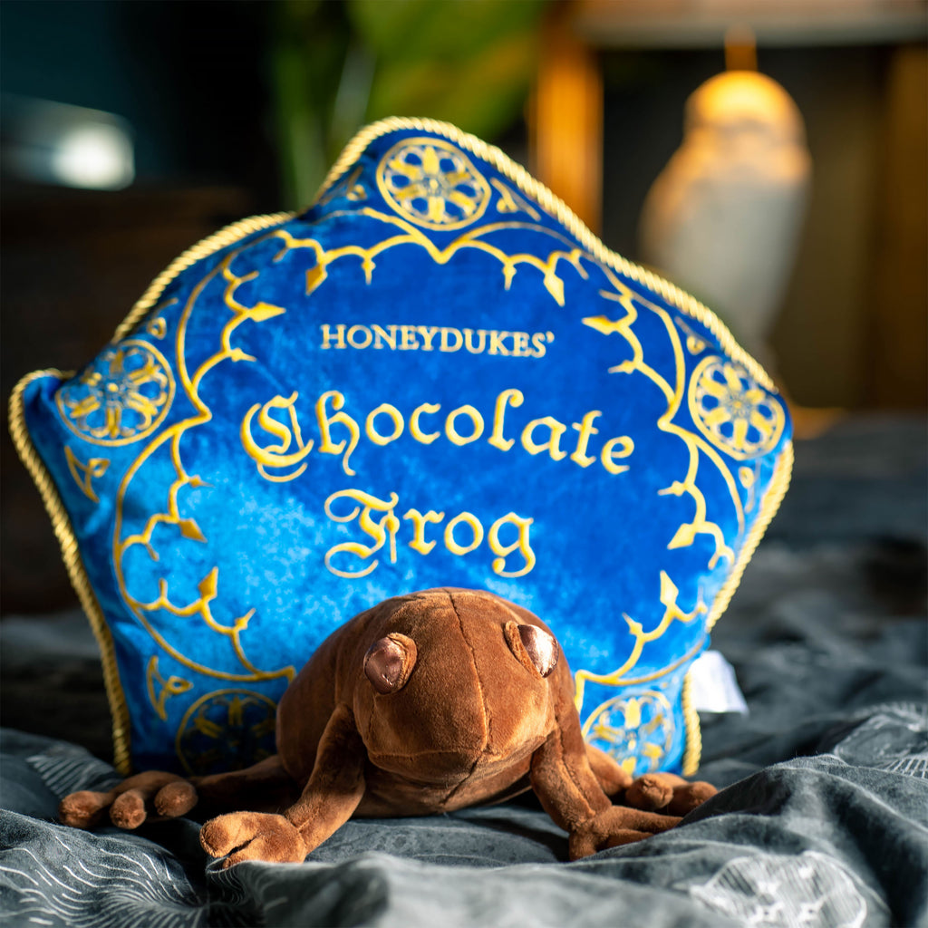 Image produit Harry Potter - Coussin Grenouille en Chocolat avec Figurine en Peluche