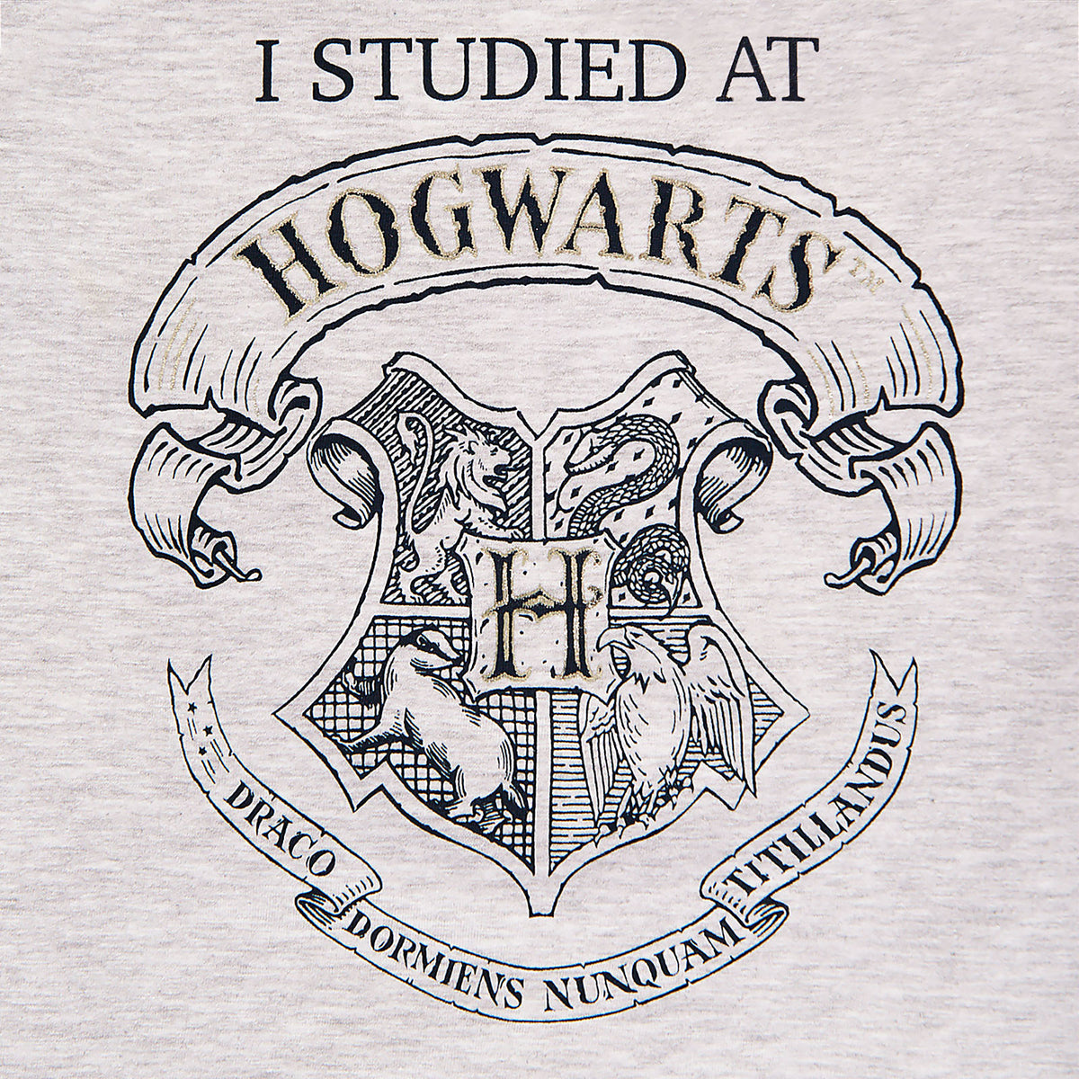Product image Harry Potter - I Studied at Hogwarts Children's T-Shirt