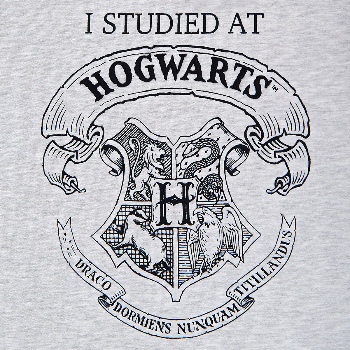 Immagine del prodotto Harry Potter - Ho Studiato a Hogwarts Felpa da Donna Grigia