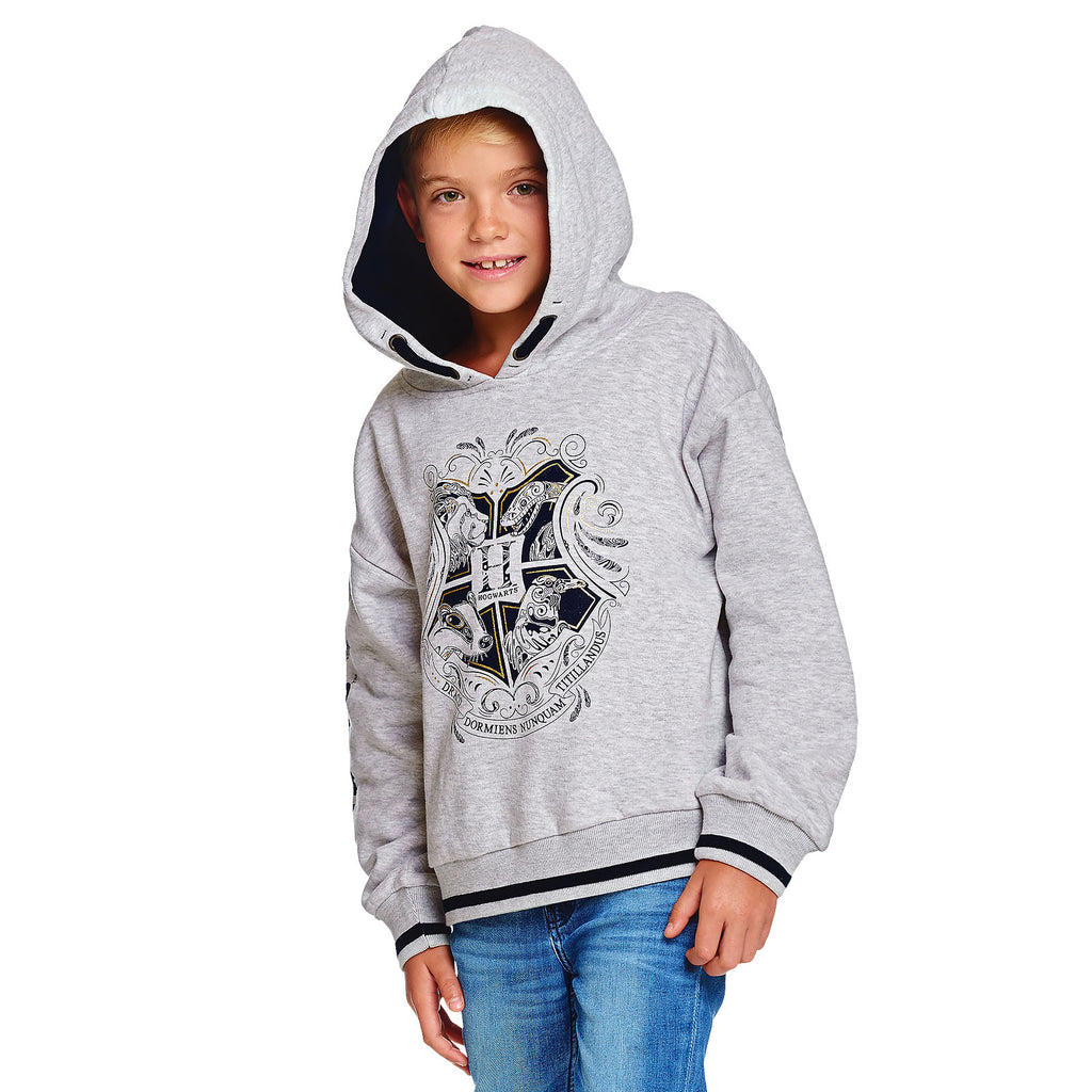 Produktbild Harry Potter - Hogwarts Kinder Hoodie grau