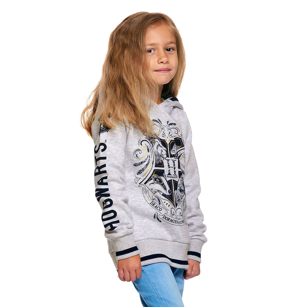 Produktbild Harry Potter - Hogwarts Kinder Hoodie grau