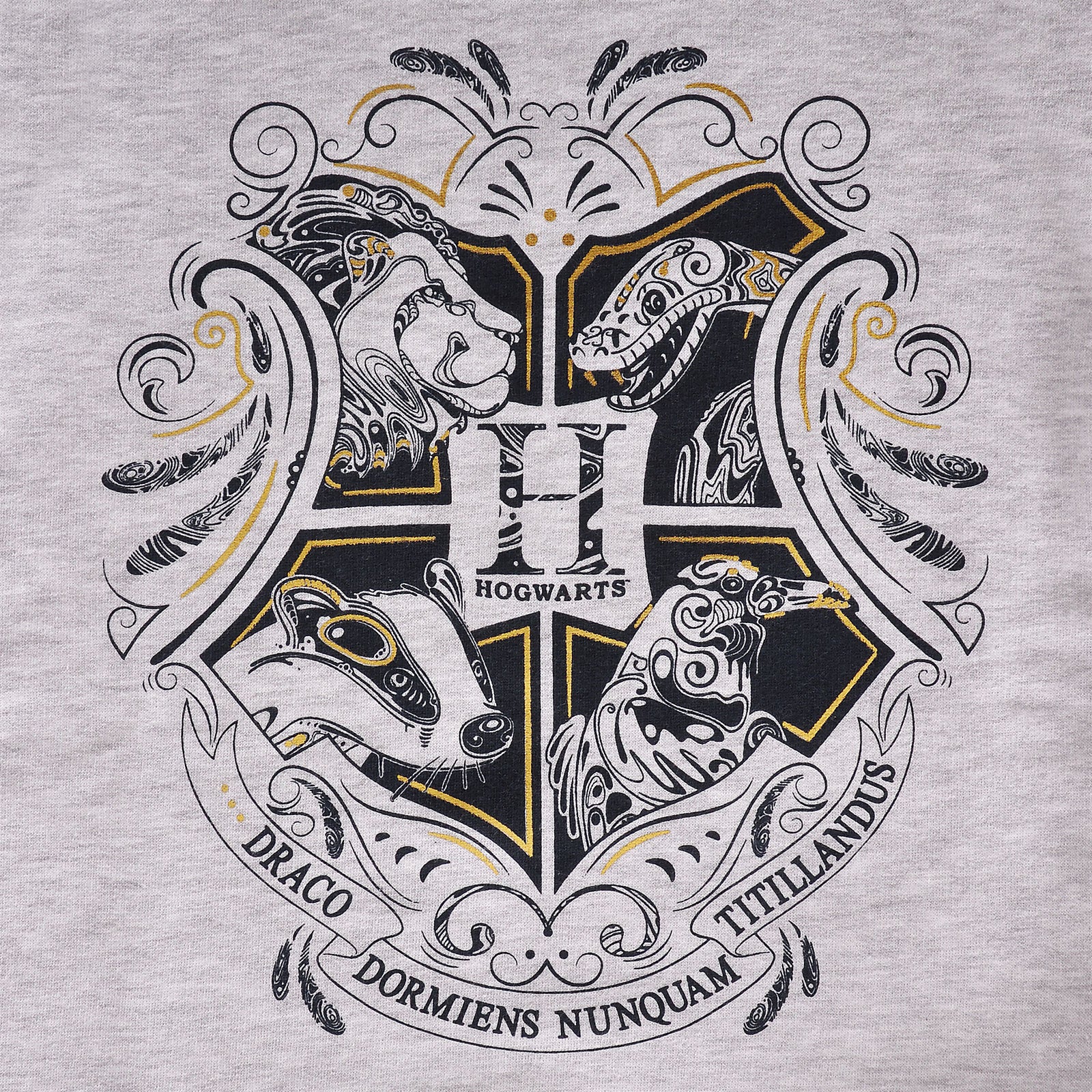 Produktbild Harry Potter - Hogwarts Kinder Hoodie grau