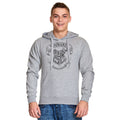 Product image Harry Potter - Hogwarts Crest Hoodie grey