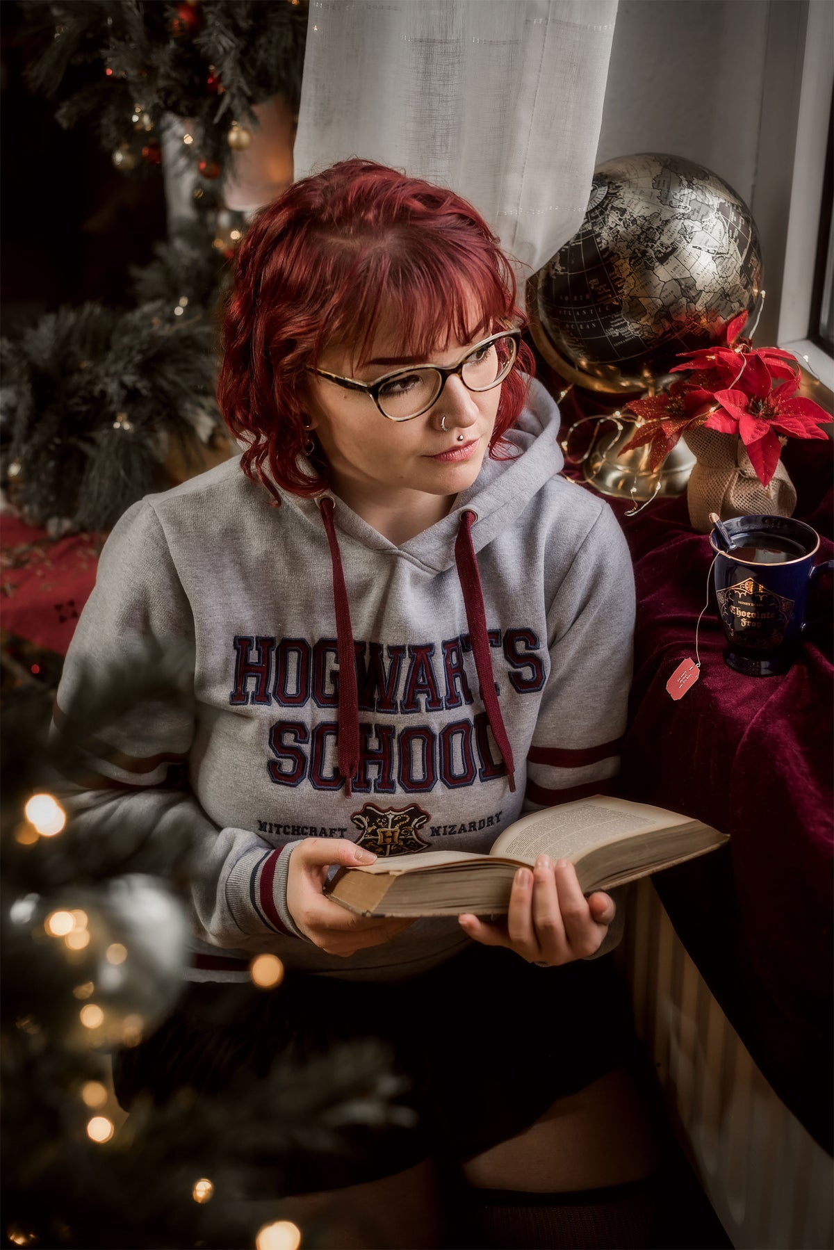 Product image Harry Potter - Hogwarts School Hoodie grey
