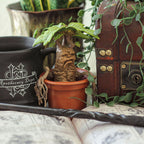 Immagine del prodotto Mandragora - Figura di creature magiche di Harry Potter