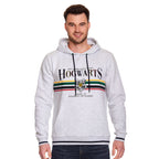 Immagine del prodotto Harry Potter - Felpa con cappuccio di Hogwarts grigia