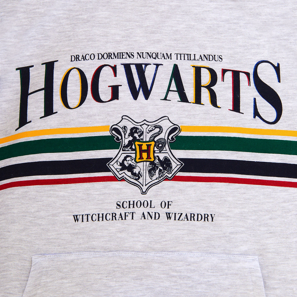 Immagine del prodotto Harry Potter - Felpa con cappuccio di Hogwarts grigia