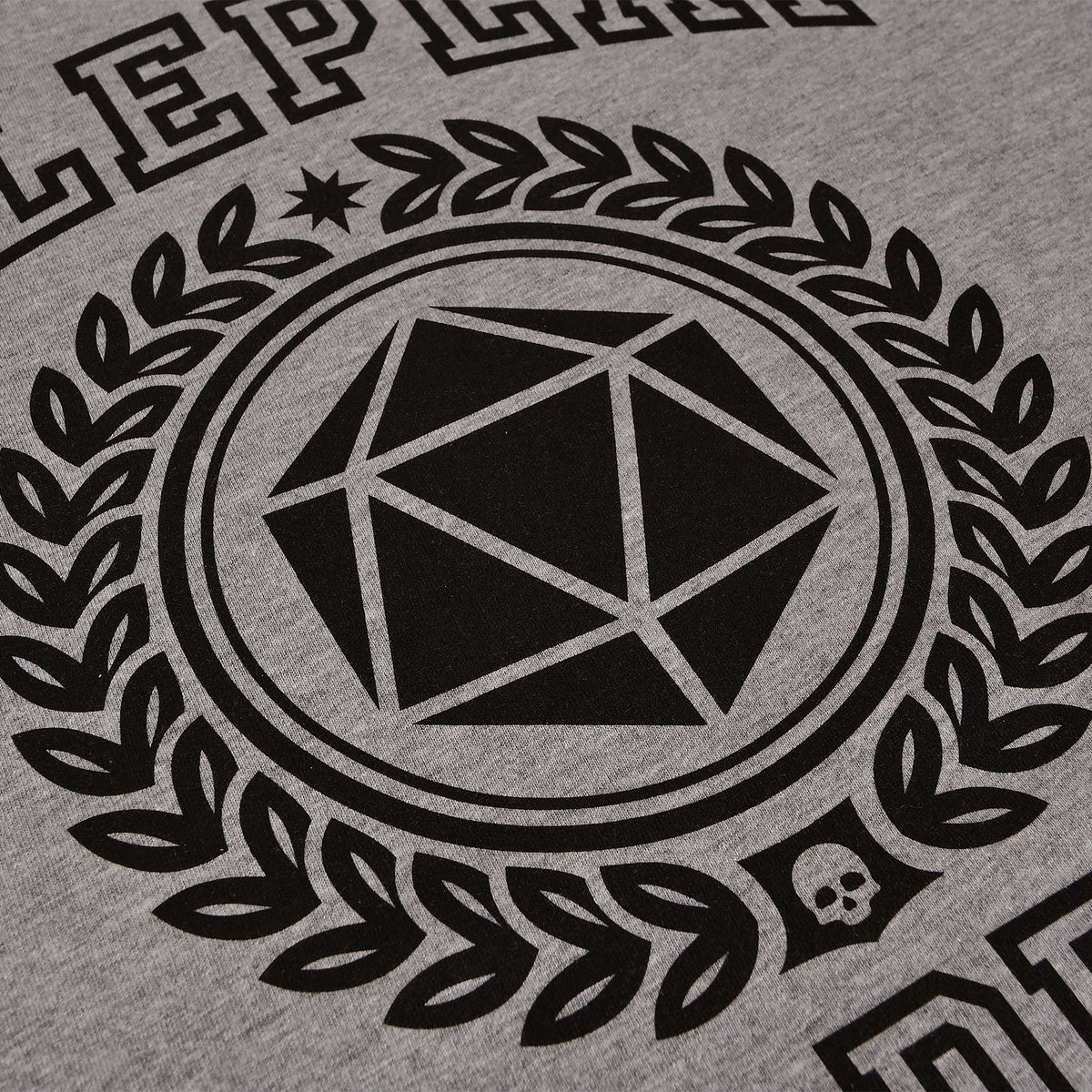 Produktbild Roleplay Academy T-Shirt grau