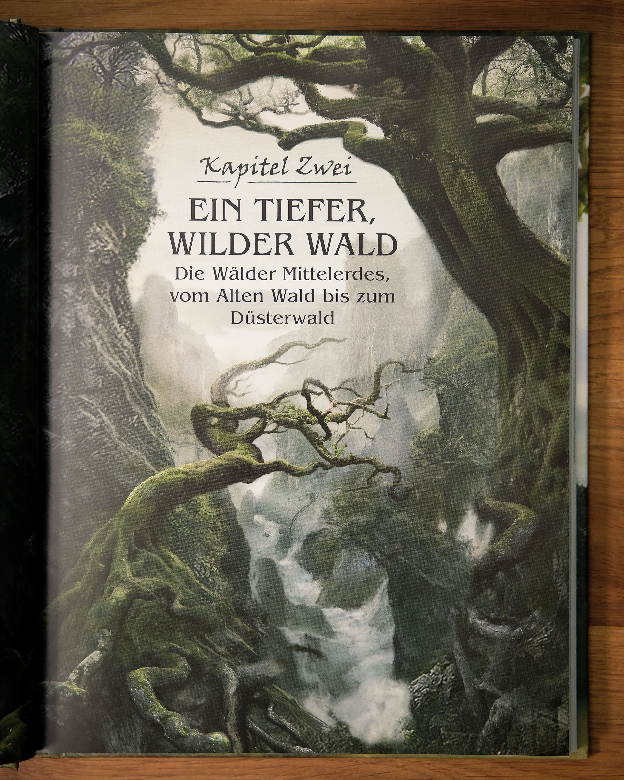 Produktbild Reise durch Mittelerde - Illustrationen von Beutelsend bis Mordor