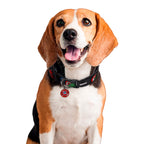 Immagine del prodotto Avengers - Collare per cani con click di Comic Heroes