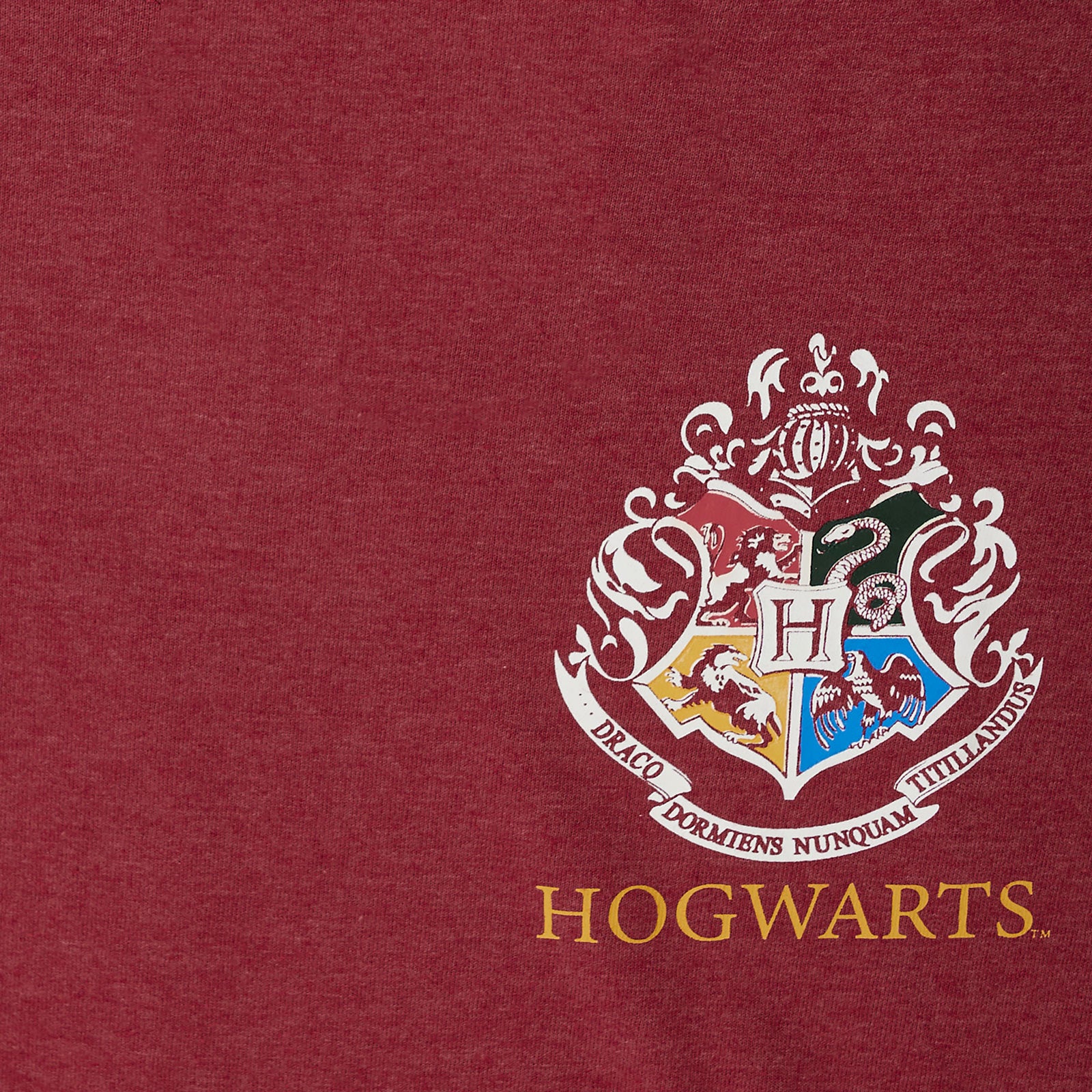 Produktbild Harry Potter Gryffindor Sucher Oversize T-Shirt Damen rot