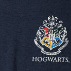 Immagine del prodotto T-shirt da donna Ravenclaw Seeker Chang oversize blu - Harry Potter