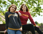 Image produit Harry Potter - Pull de collège Hufflepuff gris