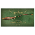 Immagine del prodotto Harry Potter - Il libro delle scope magiche