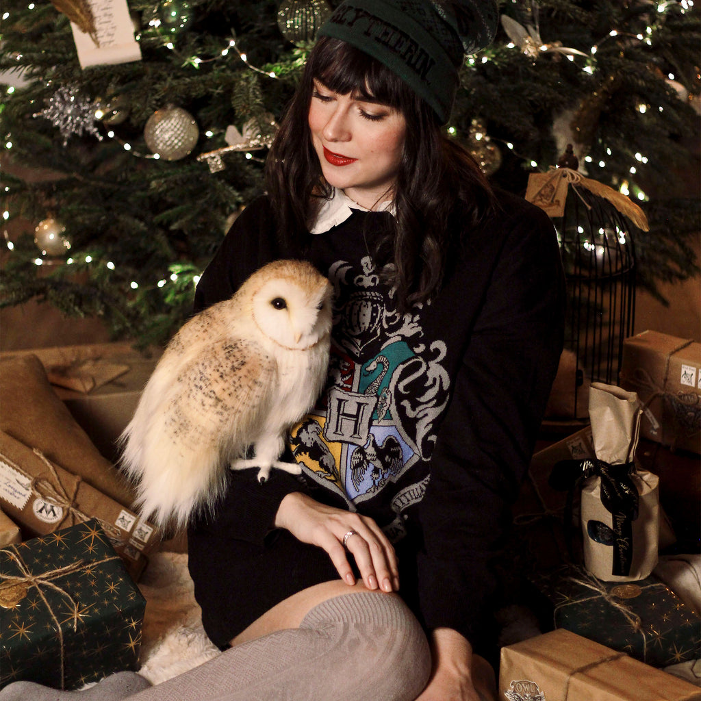 Immagine del prodotto Harry Potter - Maglione oversize con stemma di Hogwarts nero
