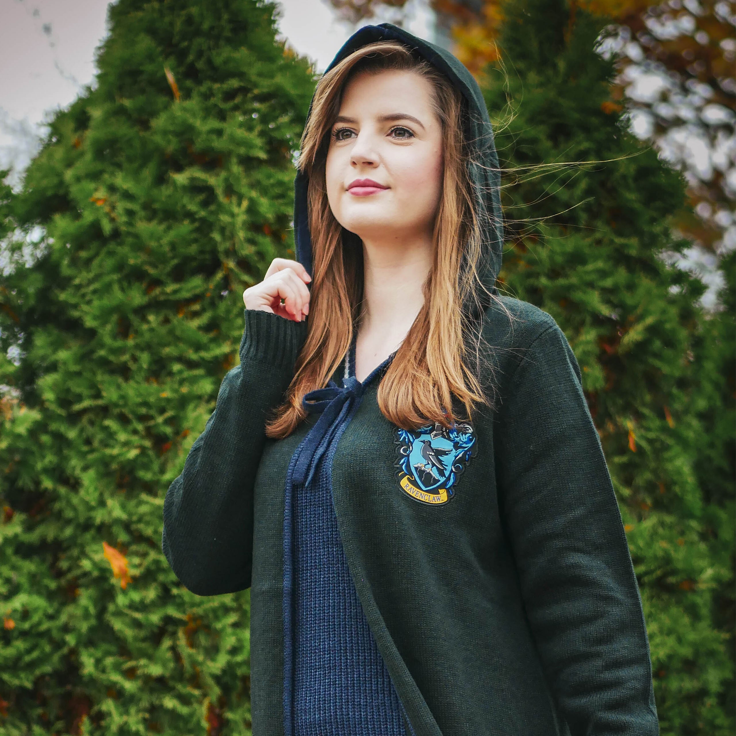 Produktbild Harry Potter - Ravenclaw Strickumhang