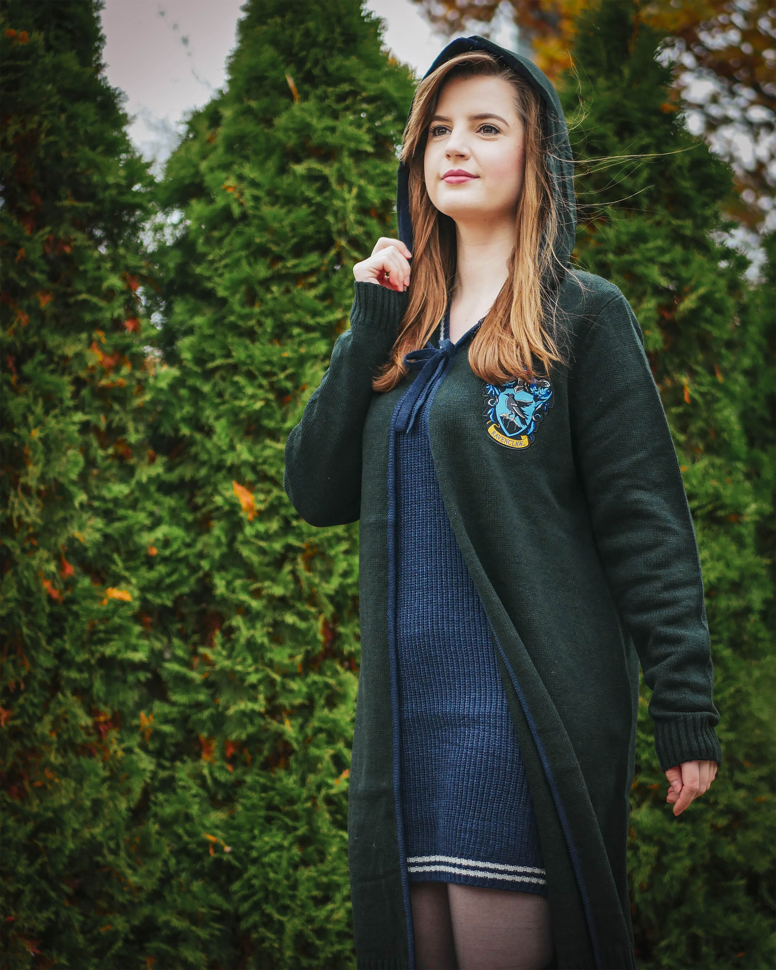 Produktbild Harry Potter - Ravenclaw Strickumhang