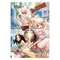 Immagine del prodotto Dr. Stone - Volume 13 Libro tascabile