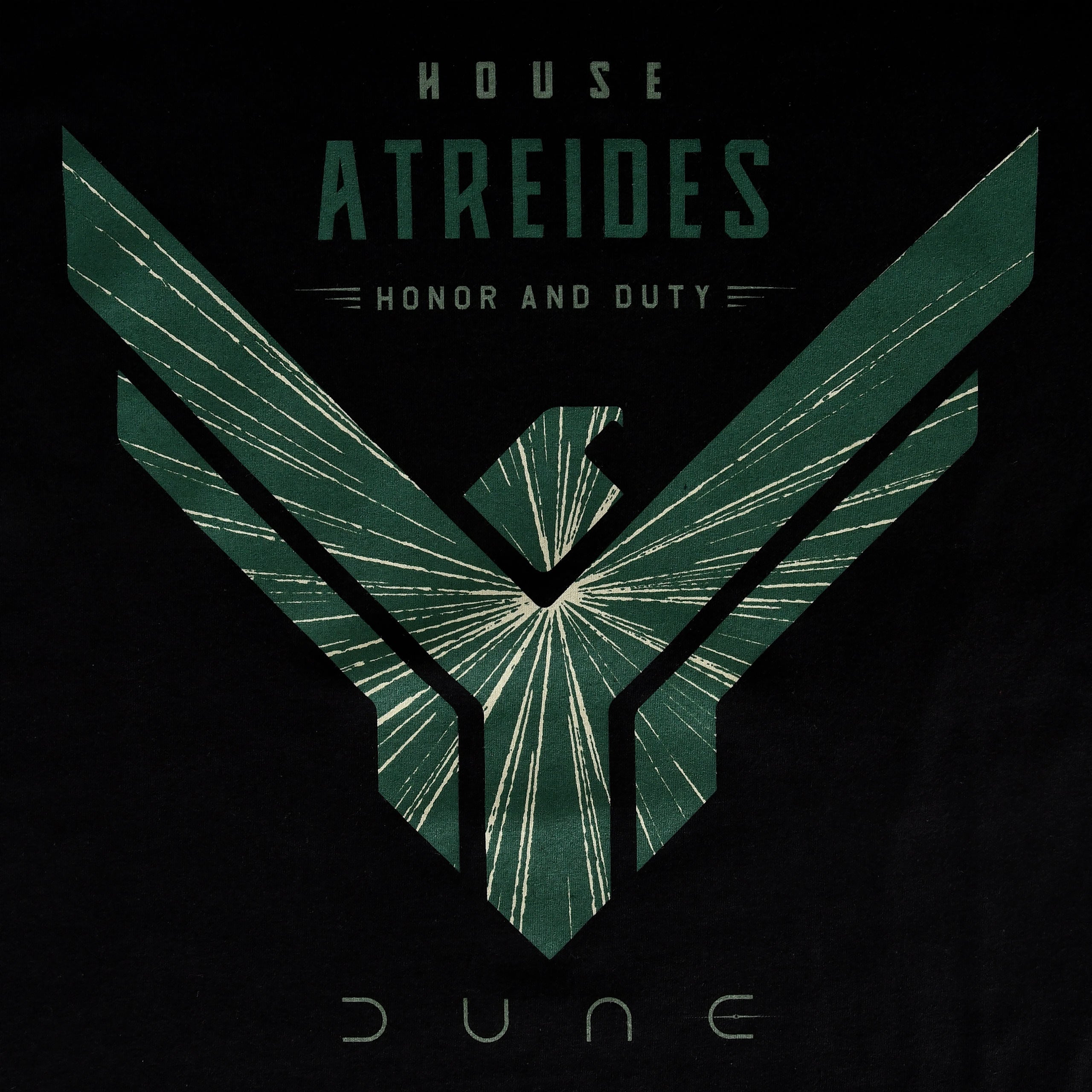 Produktbild Dune - House Atreides T-Shirt schwarz
