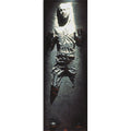 Immagine del prodotto Star Wars - Han Solo in Carbonite Poster per Porta