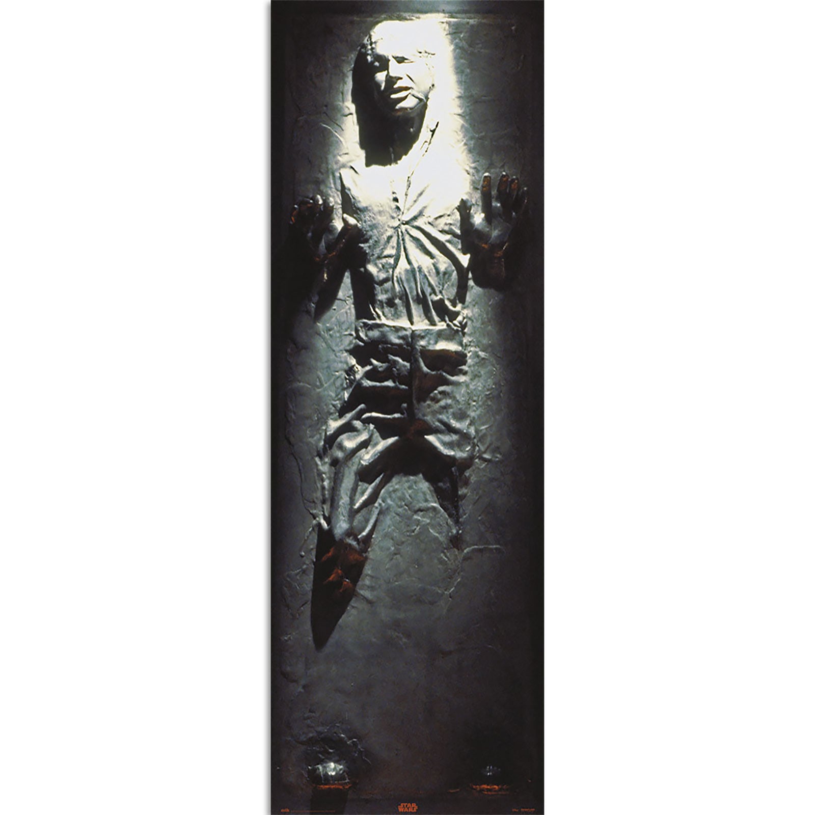 Immagine del prodotto Star Wars - Han Solo in Carbonite Poster per Porta