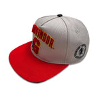 Produktbild Harry Potter - Gryffindor Frottee Logo Snapback Cap