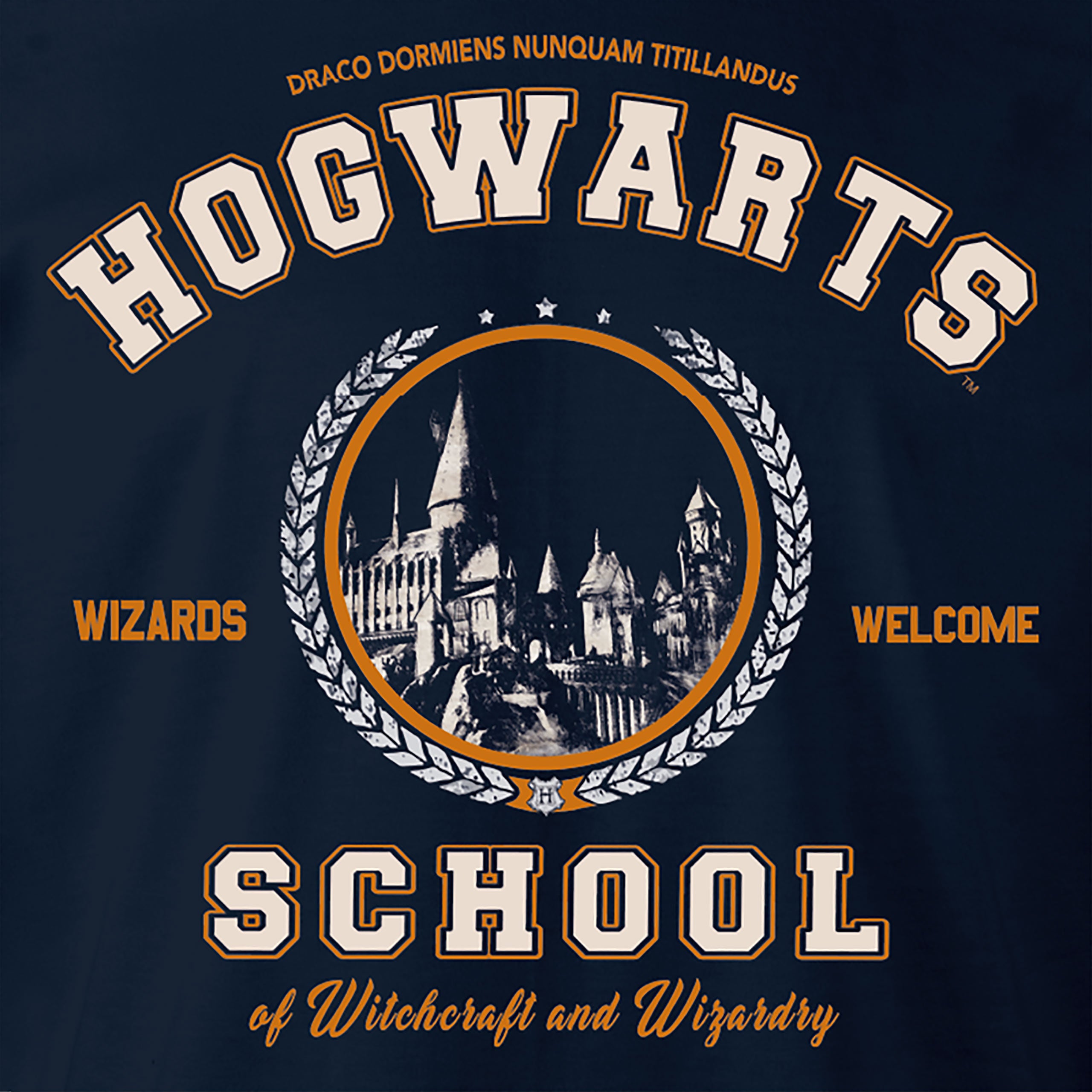 Product image Harry Potter - Hogwarts School Hoodie Blue