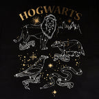 Produktbild Harry Potter - Hogwarts Häuser Wappentier T-Shirt schwarz
