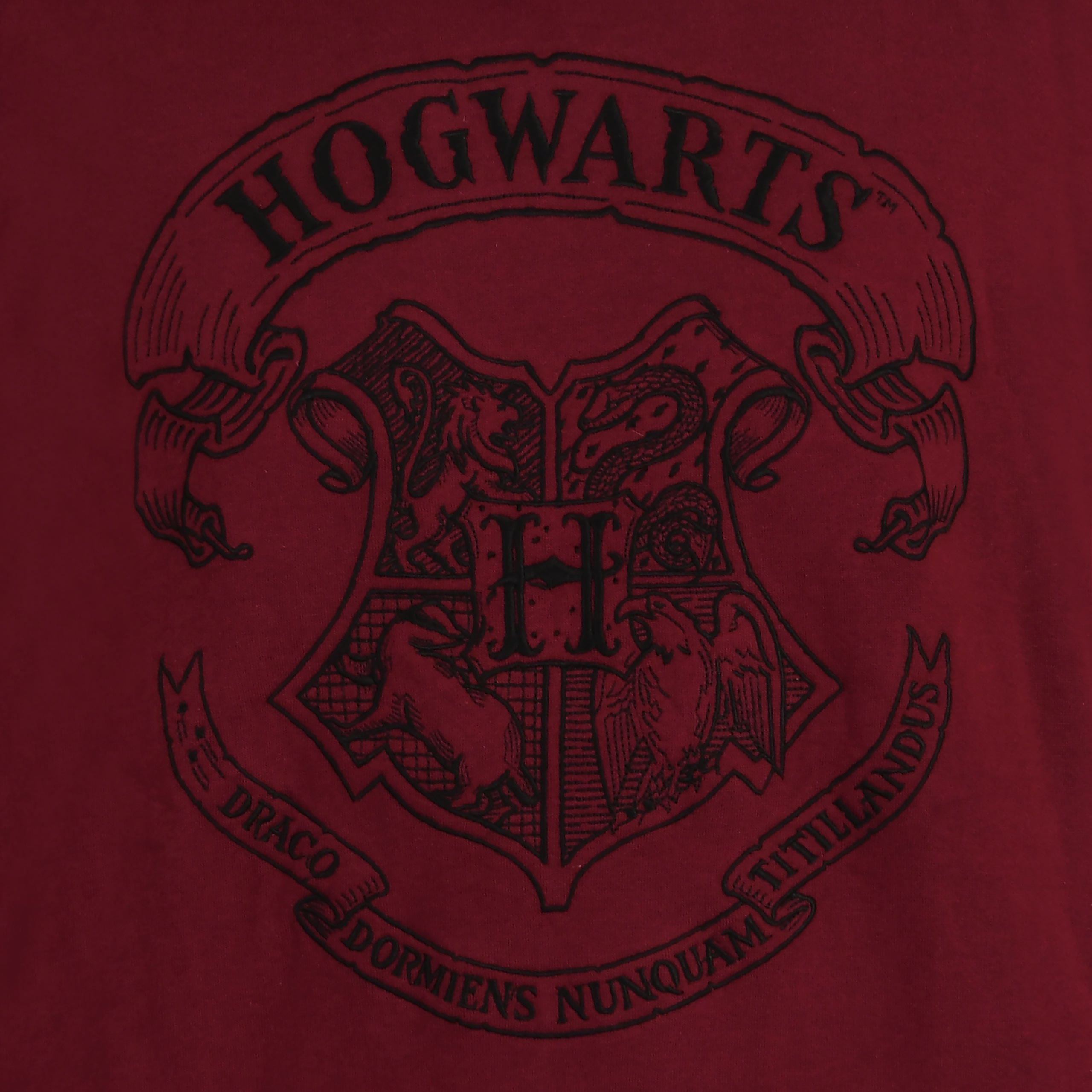 Immagine del prodotto Harry Potter - Felpa con cappuccio rossa con logo Hogwarts