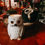 Image produit Porte-bougie Hedwig - Harry Potter